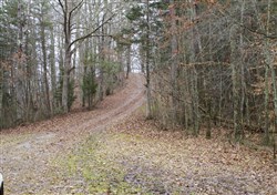 property photo for Majestic Rock Ranch Tract 8, 5.74 acres for sale in Rockcastle County, Kentucky