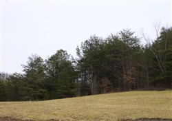 property photo for Majestic Rock Ranch Tract 8, 5.74 acres for sale in Rockcastle County, Kentucky
