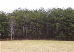 property photo for Majestic Rock Ranch Tract 8, 5.74 acres for sale in Rockcastle County, Kentucky