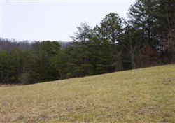property photo for Majestic Rock Ranch Tract 8, 5.74 acres for sale in Rockcastle County, Kentucky