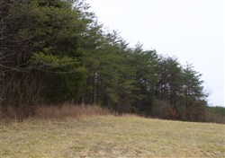 property photo for Majestic Rock Ranch Tract 8, 5.74 acres for sale in Rockcastle County, Kentucky