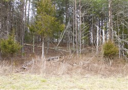 property photo for Majestic Rock Ranch Tract 9, 5.92 acres for sale in Rockcastle County, Kentucky