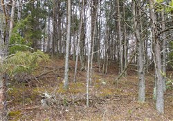 property photo for Majestic Rock Ranch Tract 9, 5.92 acres for sale in Rockcastle County, Kentucky