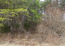 property photo for Majestic Rock Ranch Tract 9, 5.92 acres for sale in Rockcastle County, Kentucky