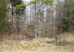 property photo for Majestic Rock Ranch Tract 9, 5.92 acres for sale in Rockcastle County, Kentucky