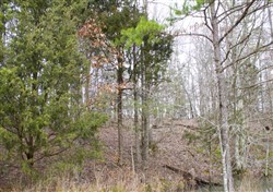 property photo for Majestic Rock Ranch Tract 9, 5.92 acres for sale in Rockcastle County, Kentucky