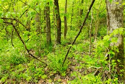 Trails End Tract 14