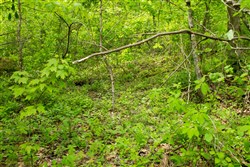 Trails End Tract 14
