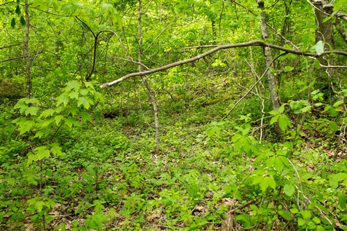 Trails End Tract 14