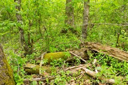 Trails End Tract 14