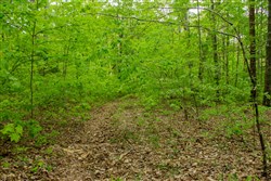 Trails End Tract 14