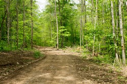 Trails End Tract 17