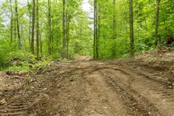 Trails End Tract 17