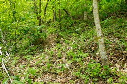 Trails End Tract 17