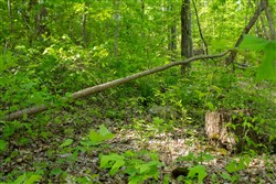 Trails End Tract 18