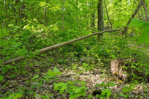 Trails End Tract 18