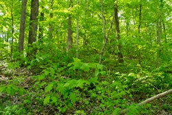 Trails End Tract 18
