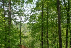Trails End Tract 18