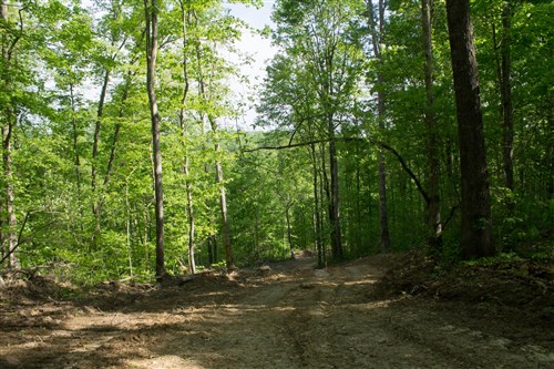 Trails End Tract 19