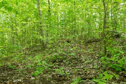 Trails End Tract 19