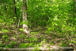 Trails End Tract 19