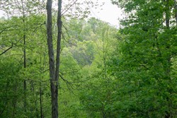 Trails End Tract 21