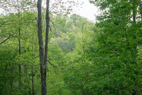 Trails End Tract 21