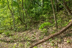 Trails End Tract 21