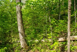Trails End Tract 21