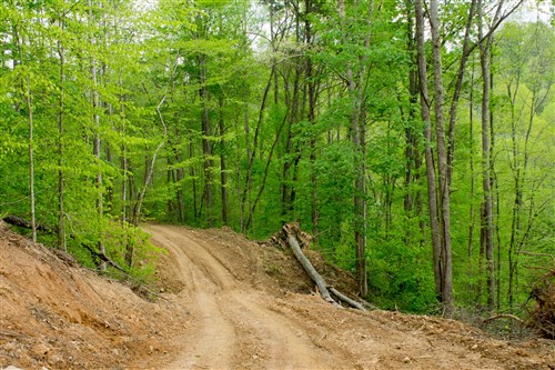 Trails End Tract 22