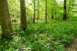 Trails End Tract 22