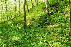 Trails End Tract 22