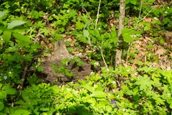 Trails End Tract 22