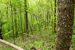 Trails End Tract 22