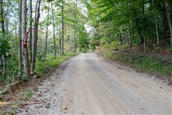 property photo for Wounded Oak Tract 16, 6.4 acres for sale in Rockcastle County, Kentucky