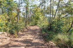 property photo for Wounded Oak Tract 9, 5.28 acres for sale in Rockcastle County, Kentucky