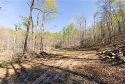 Blue Grass Ridge Tract 11