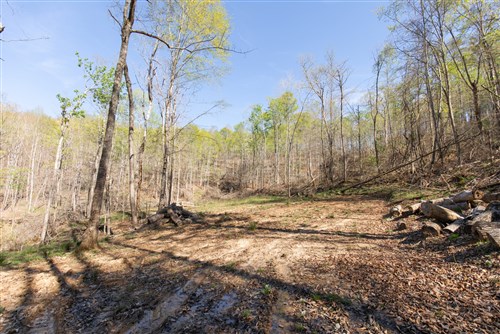 Blue Grass Ridge Tract 11