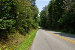 Blue Grass Ridge Tract 2
