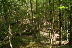 Blue Grass Ridge Tract 2