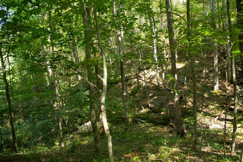 Blue Grass Ridge Tract 2