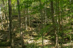 Blue Grass Ridge Tract 2