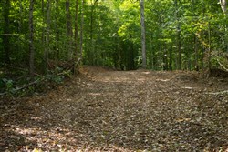 Blue Grass Ridge Tract 2