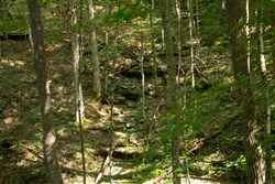 Blue Grass Ridge Tract 2