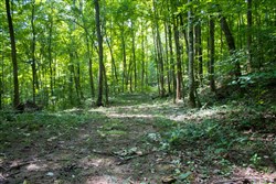 Bluewater Ridge Tract 13