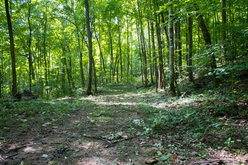 Bluewater Ridge Tract 13