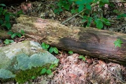 Bluewater Ridge Tract 13