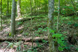 Bluewater Ridge Tract 13