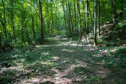 Bluewater Ridge Tract 15