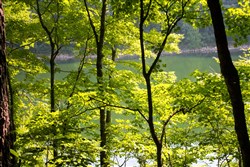 Bluewater Ridge Tract 15